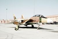 F-14 Tomcat-64